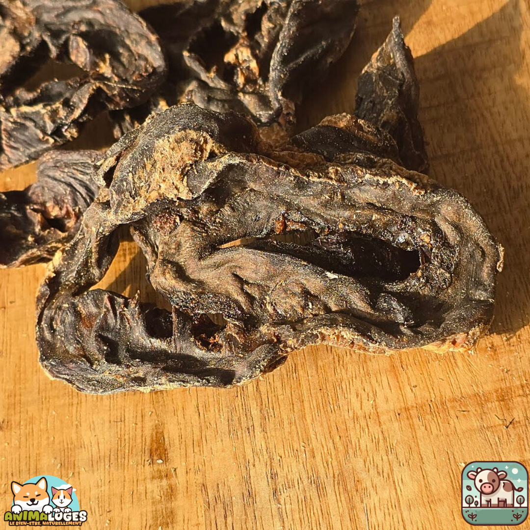 Cœur de bœuf séché naturel pour chien – friandise riche en protéines