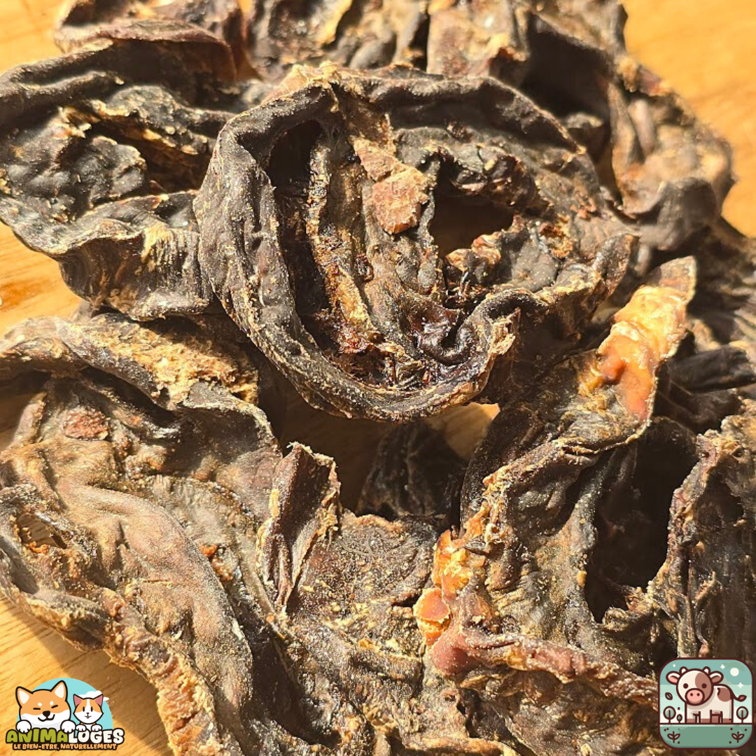 Cœur de bœuf séché naturel pour chien – friandise riche en protéines