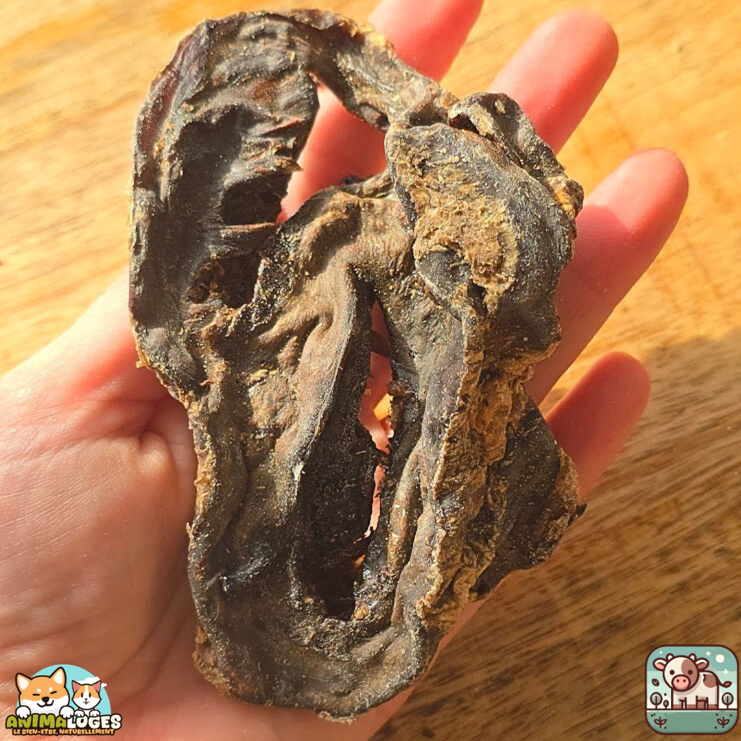 Cœur de bœuf séché naturel pour chien – friandise riche en protéines