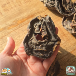 Cœur de bœuf séché naturel pour chien – friandise riche en protéines