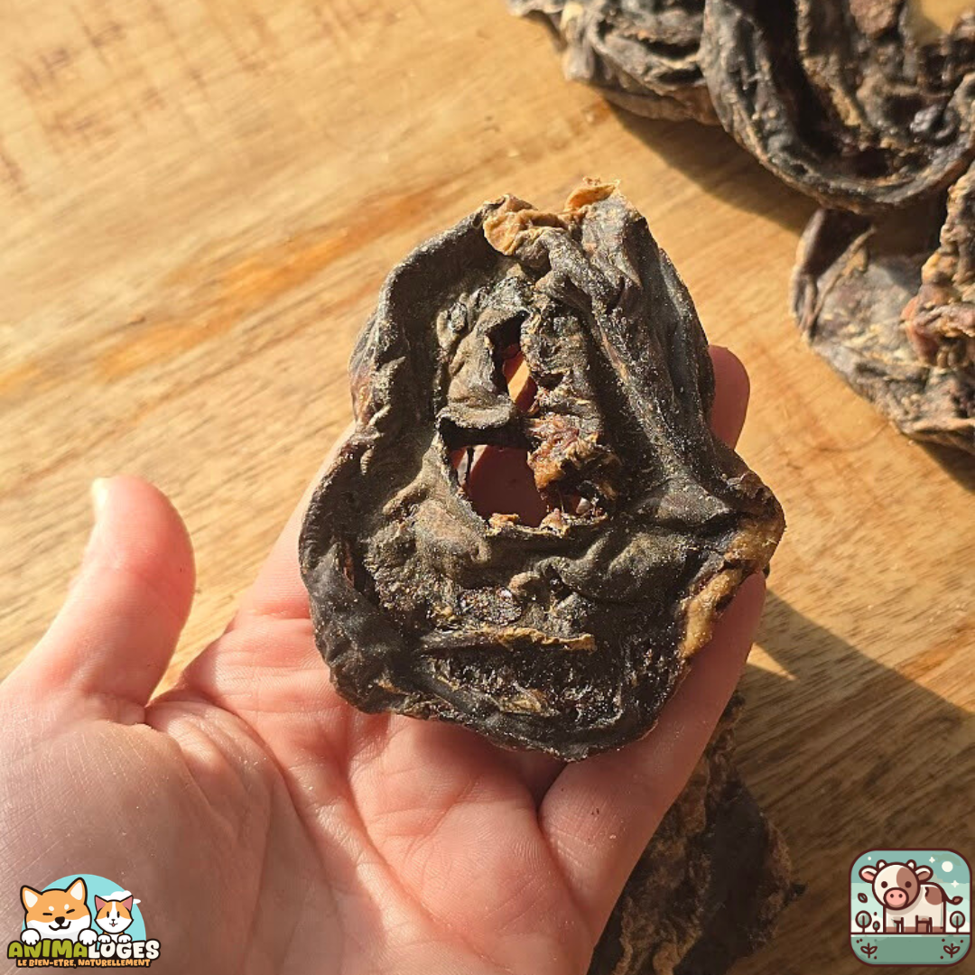 Cœur de bœuf séché naturel pour chien – friandise riche en protéines