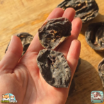 Cœur de bœuf séché naturel pour chien – friandise riche en protéines