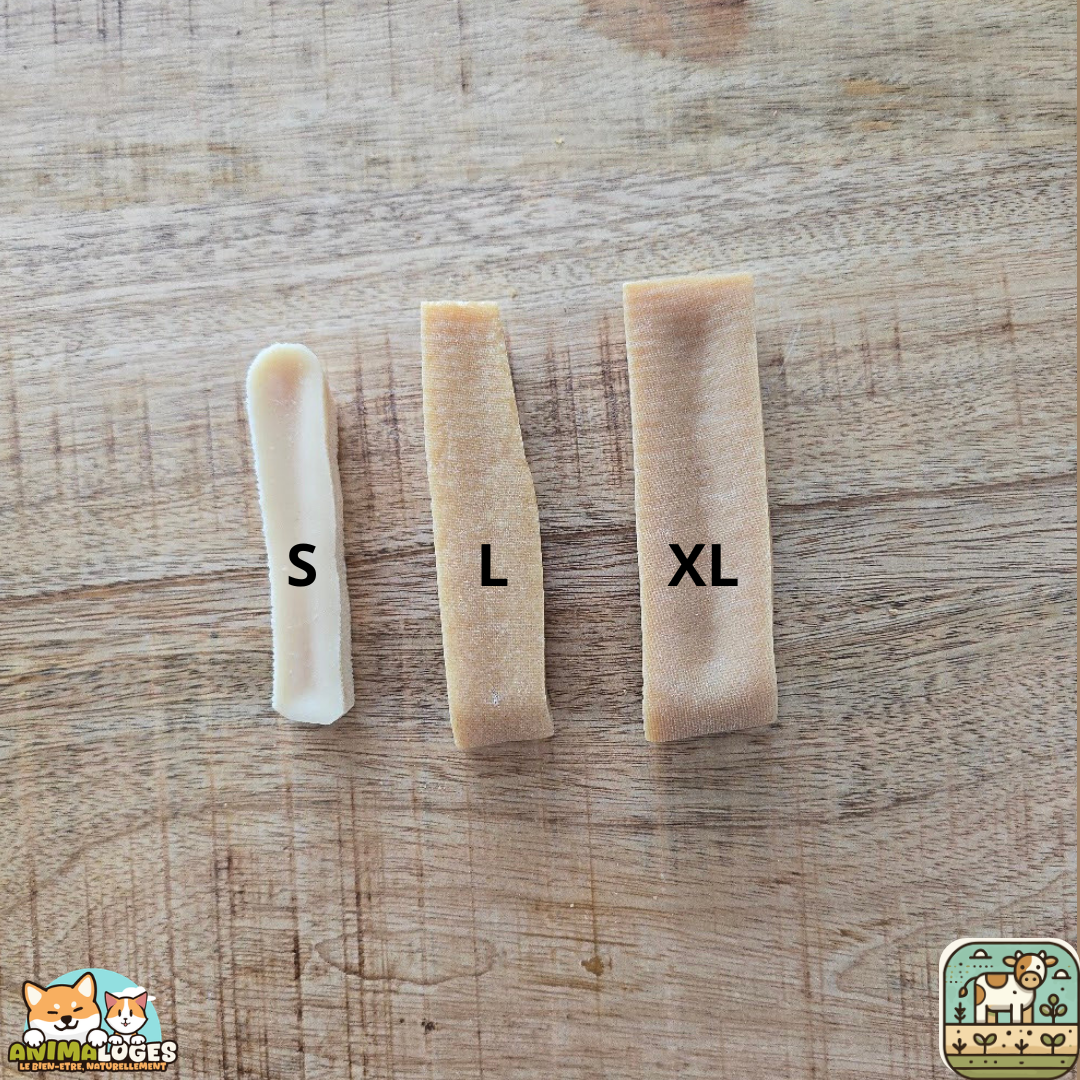 Barre de fromage naturelle pour chien – mastication longue durée