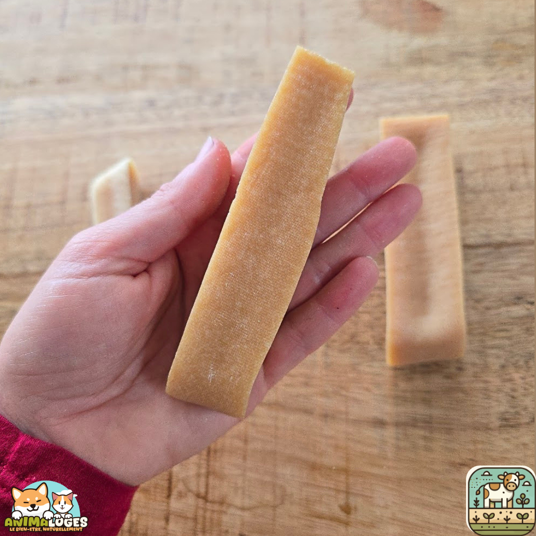 Barre de fromage naturelle pour chien – mastication longue durée