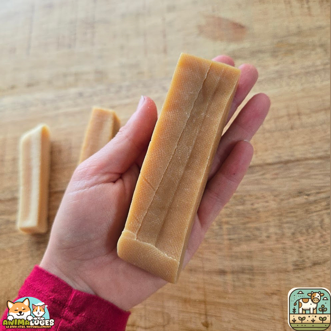 Barre de fromage naturelle pour chien – mastication longue durée