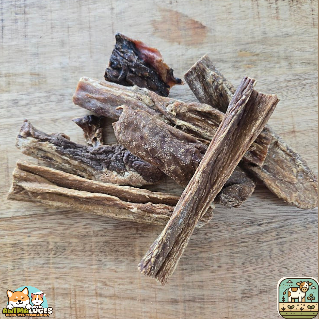 Mamelle de vache séchée naturelle pour chien – friandise à mâcher