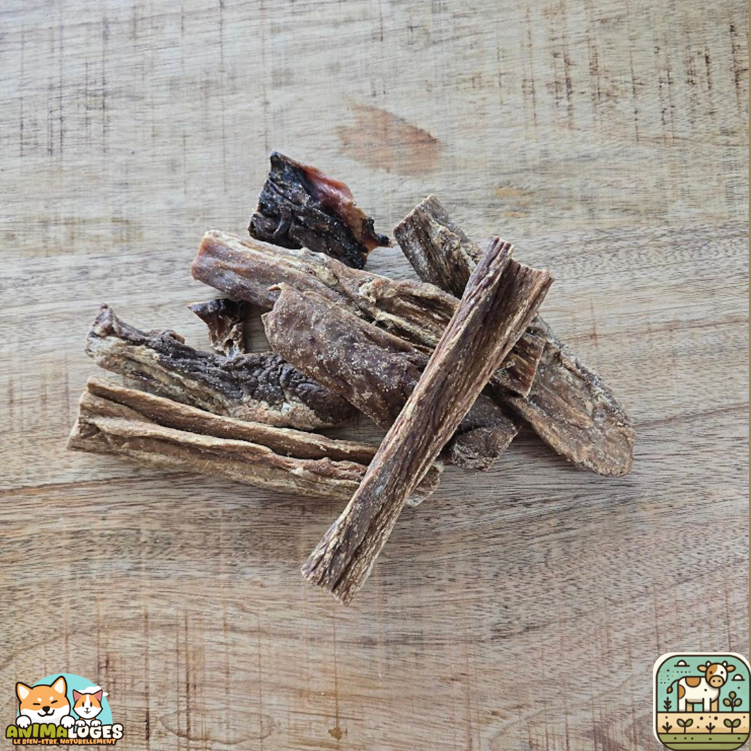 Mamelle de vache séchée naturelle pour chien – friandise à mâcher