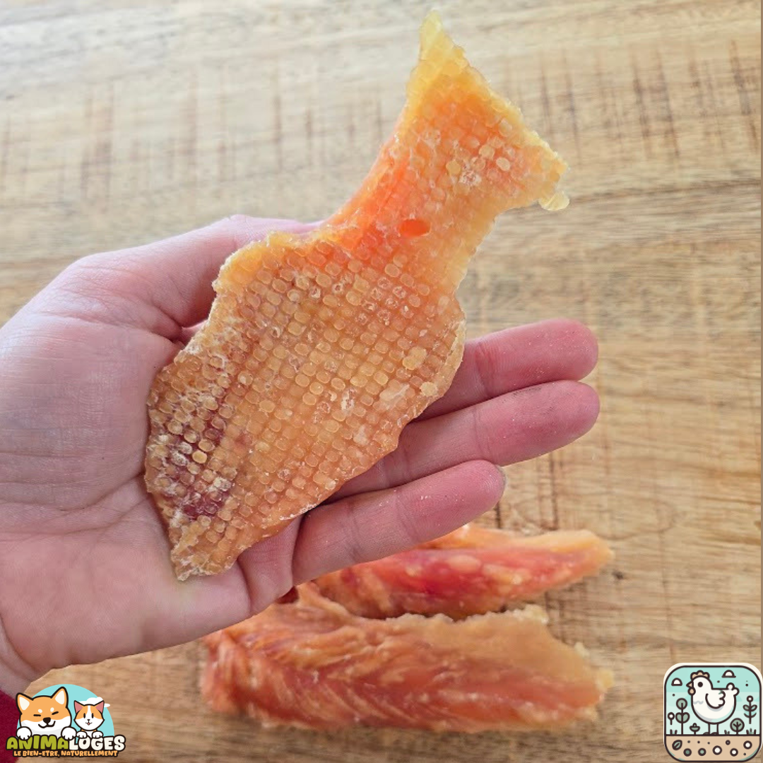 Filet de poulet séché naturel pour chien – friandise poulet