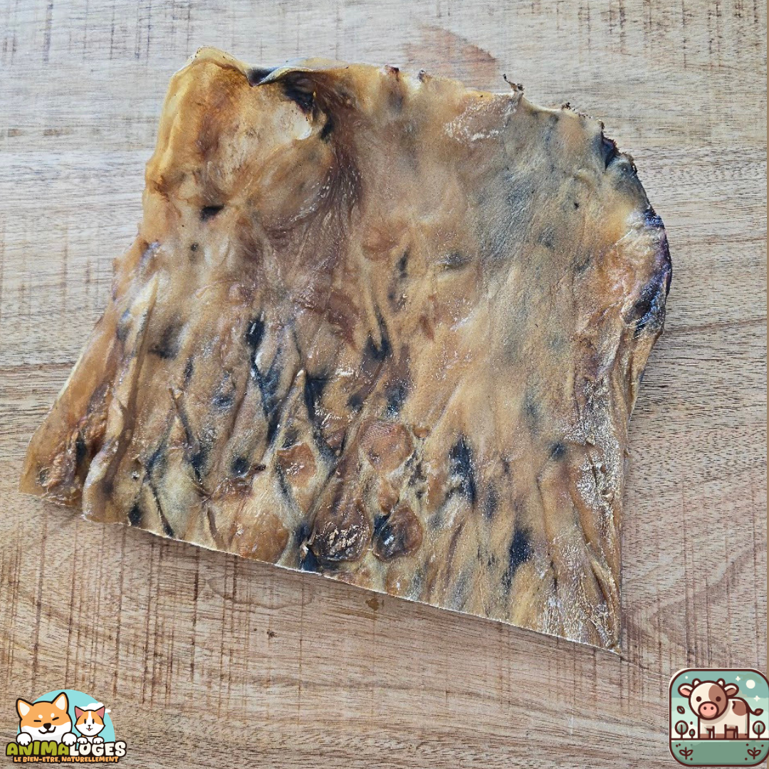 Peau de tête de bœuf XXL naturelle pour chien – mastication résistante
