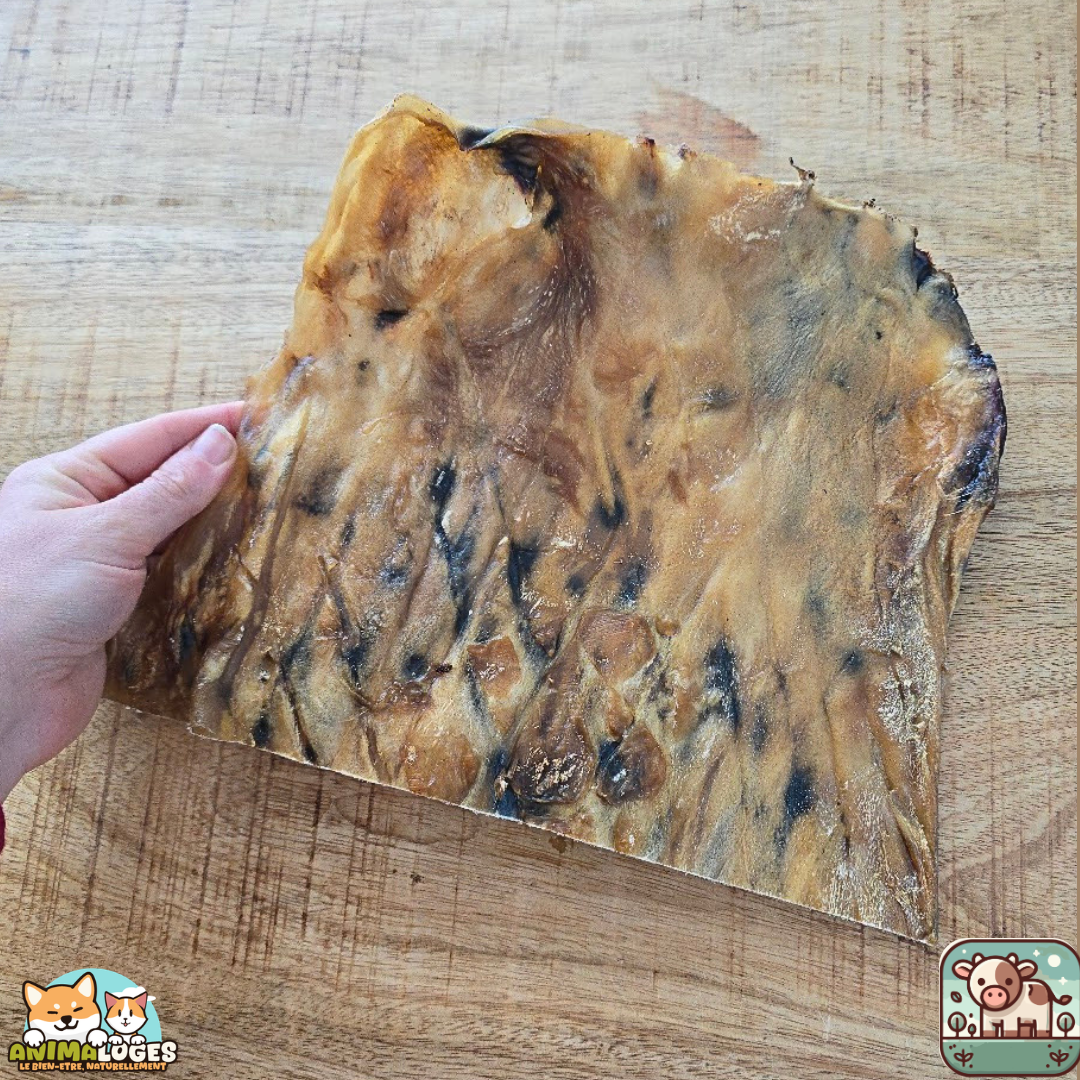 Peau de tête de bœuf XXL naturelle pour chien – mastication résistante