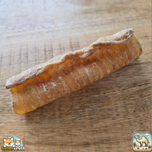 Trachée de chameau naturelle pour chien – mastication