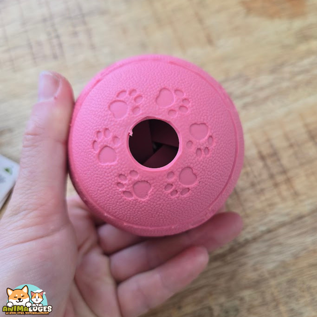 balle à friandises Rhea Flamingo chien