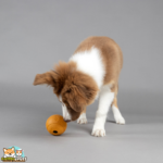 balle à friandises Rhea Flamingo chien
