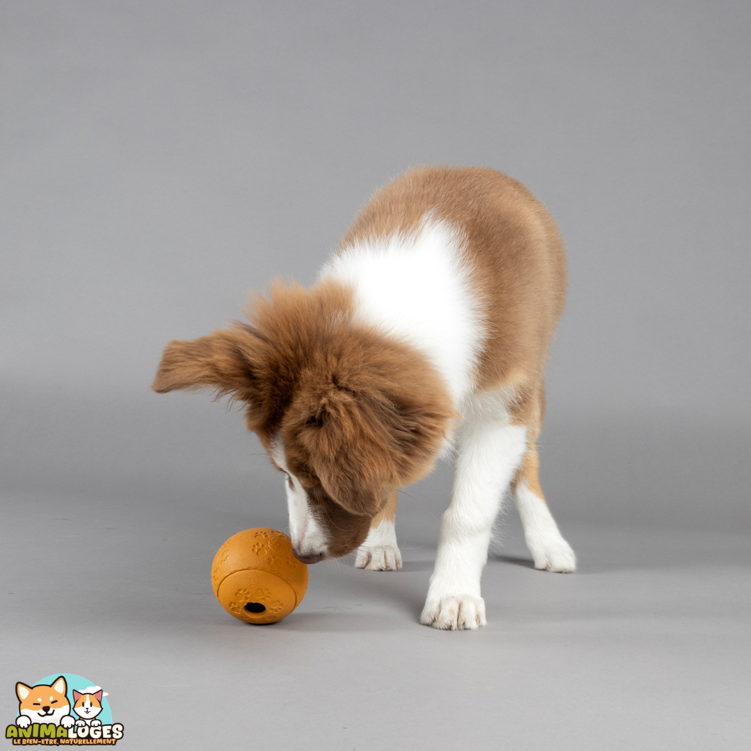 balle à friandises Rhea Flamingo chien