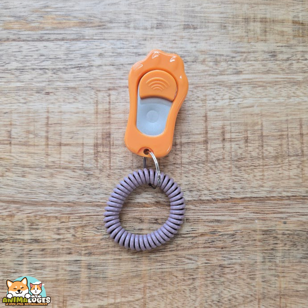 clicker chiot Xer Flamingo ocre