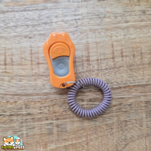 clicker chiot Xer Flamingo ocre