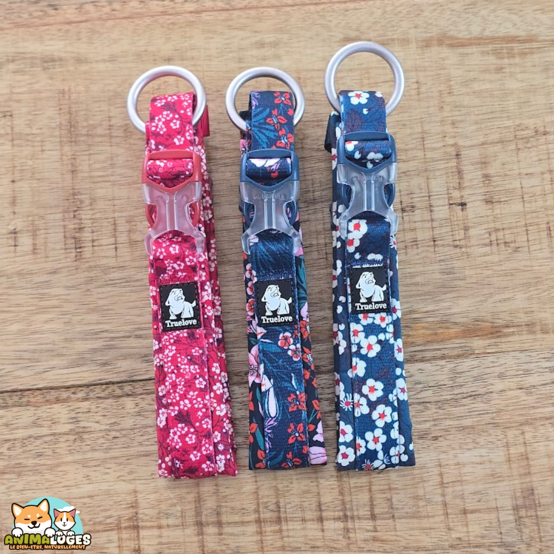 collier Truelove Flex Flower fleuri pour chien