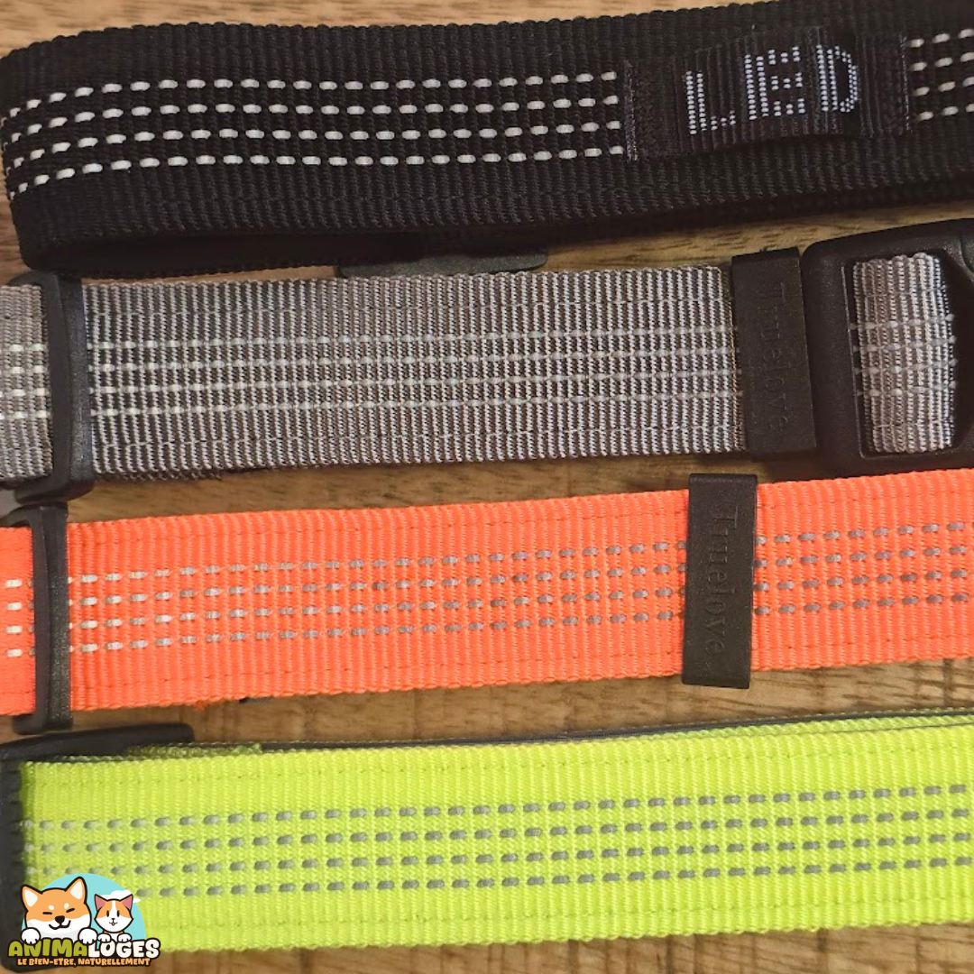 Collier Truelove Flux réfléchissant pour chien