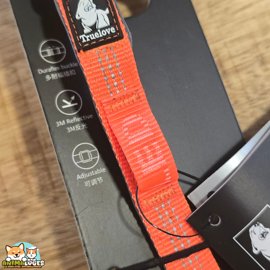 Collier Truelove Flux réfléchissant pour chien