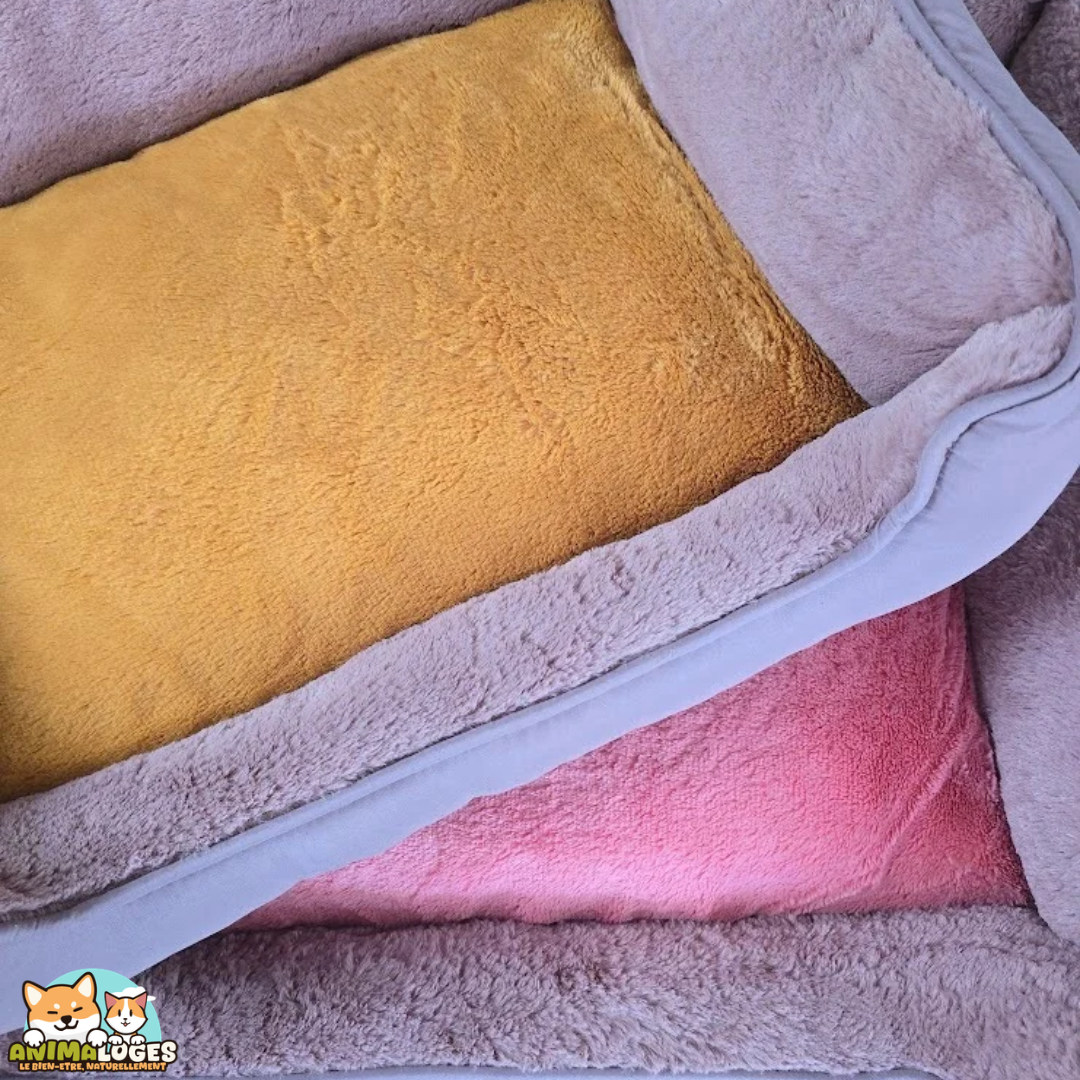 Panier pour chien Oddi Rectangle de Flamingo, disponible en plusieurs dimensions et coloris chez Anima-Loges.