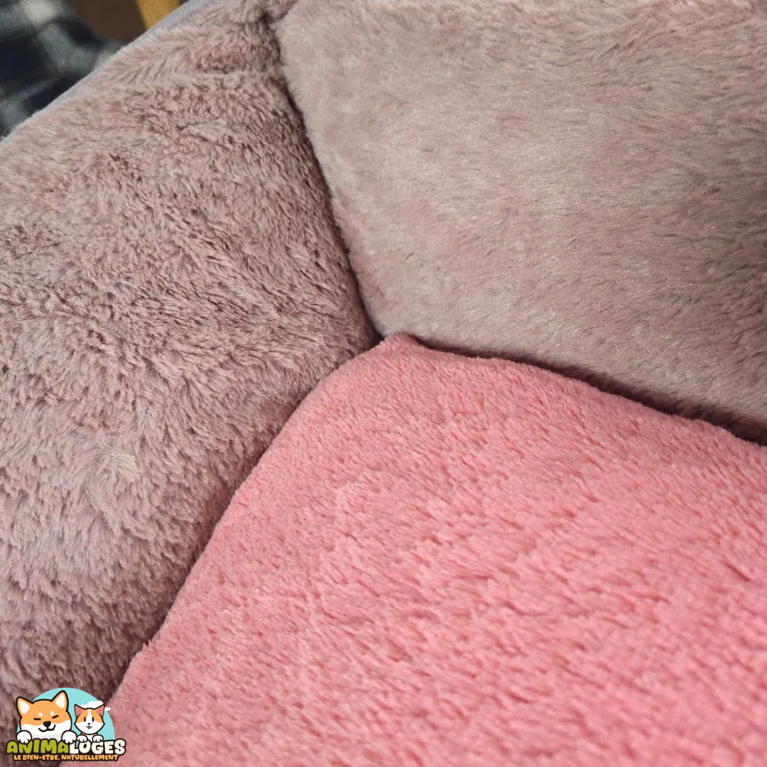 Panier pour chien Oddi Rectangle de Flamingo, disponible en plusieurs dimensions et coloris chez Anima-Loges.