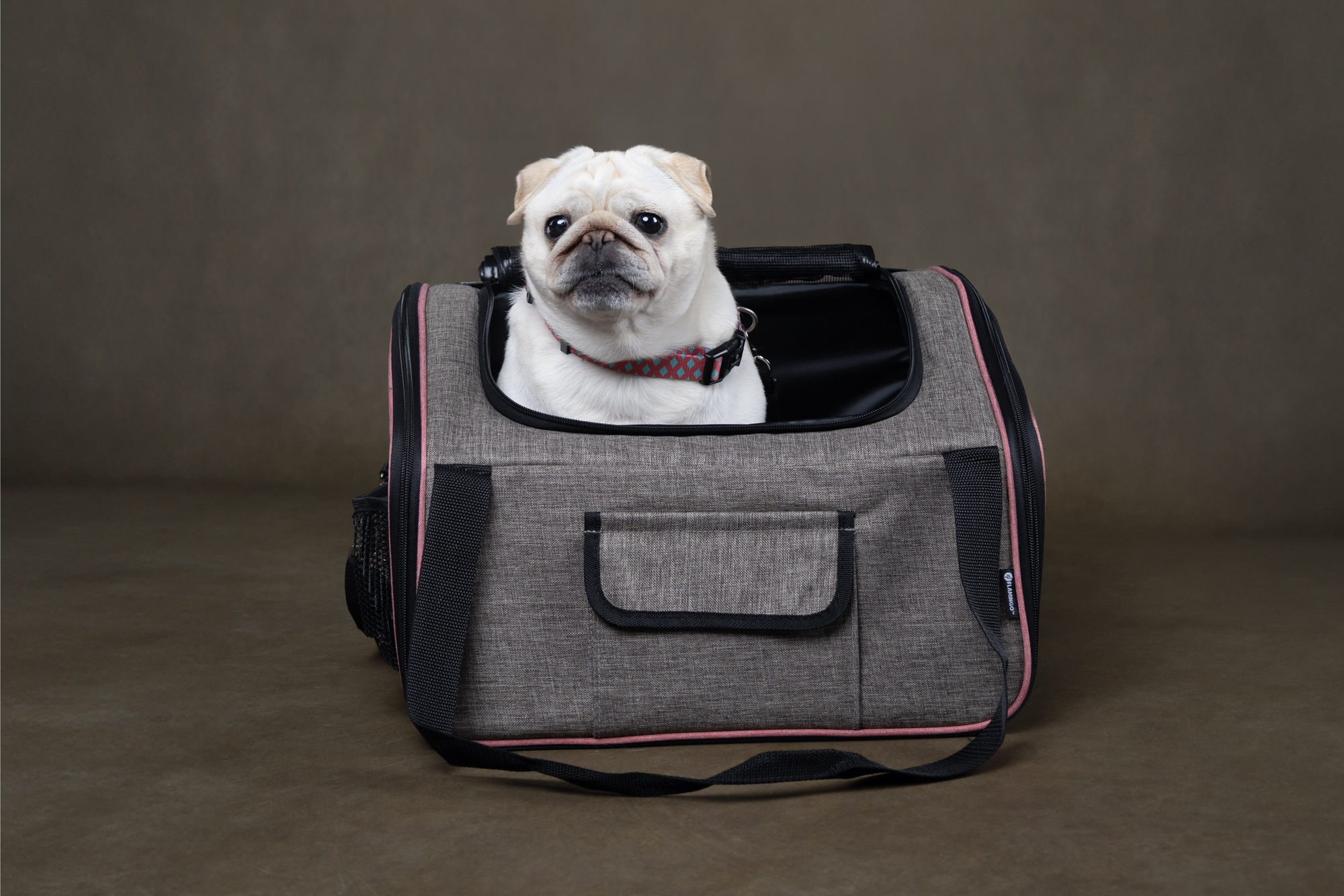 Flamingo Xenophon siège auto taupe pour chiot jusqu'à 10 kg